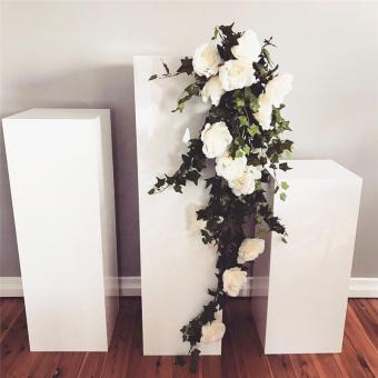 acrylic pedestal
